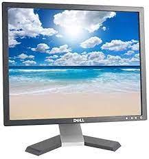 Monitor Dell E198FPb Used Good 19''