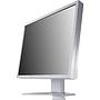 Monitor Eizo FlexScan S1921 Used C 19'' Without Stand